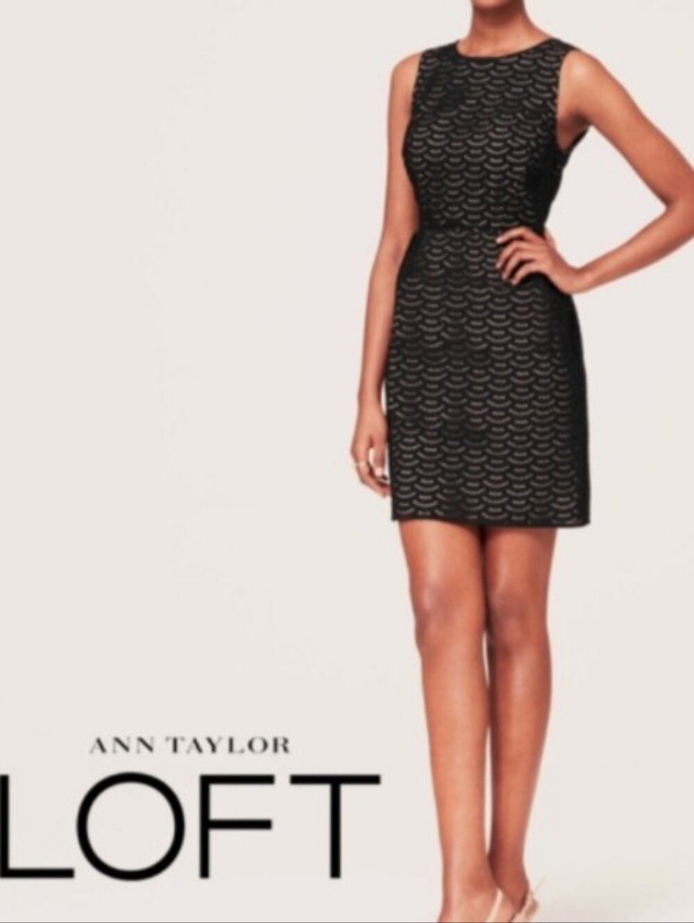 Ann Taylor Loft Fan Eyelet Lace Sheath Dress Sz 2